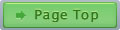 Page Top